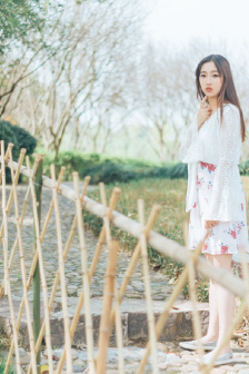 图1